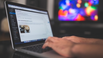 stocksnap-wordpress-923188_1280